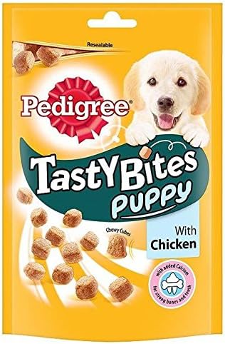 pain meds to give dogs