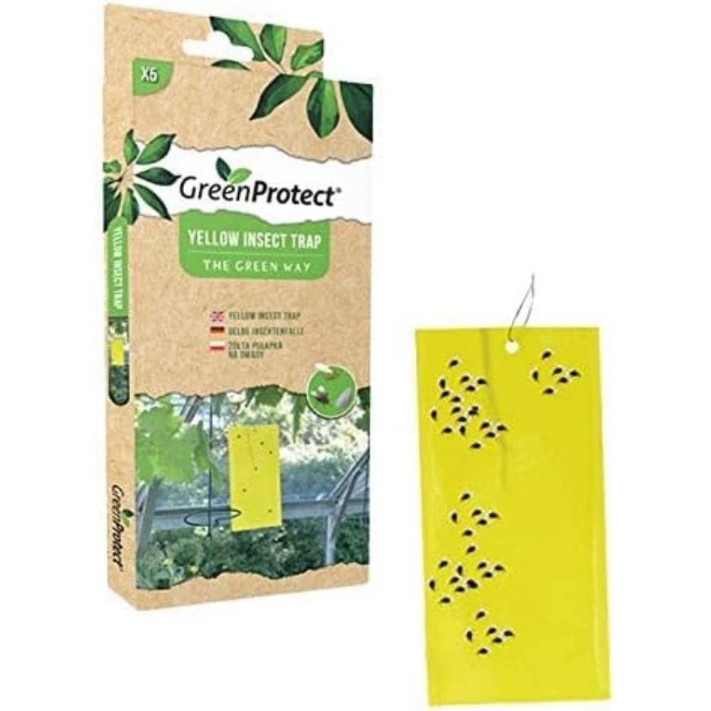 Green Protect Yellow Insect Trap - Dual-Sided Sticky Fly Traps for Plant Insect Like Fungus Gnats, Flying Aphid, Whiteflies, Leaf Miners, Other Flying Plant Insect - Pack of 5