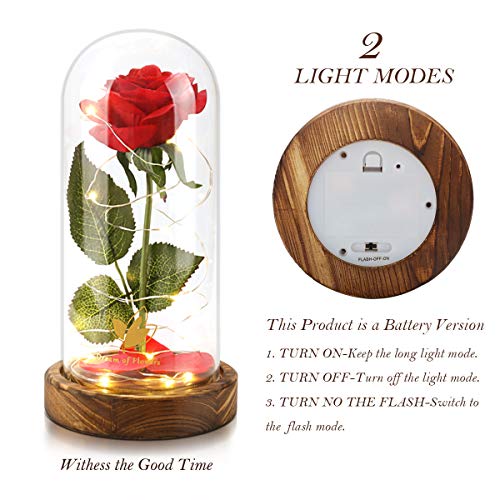 Dream of Flowers Beauty and The Beast Rose, Glass Dome brown Wood Base, Valentine's Party Gifts, Wedding Gifts, Best Gift for Her (N2)