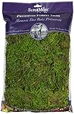 SuperMoss (25322) Forest Moss Preserved, Fresh Green, 8oz