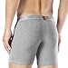 Separatec Men's 3 Pack Micro Modal Separate Pouches Comfort Fit Boxer Briefs (S,Gray)