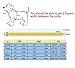 HanFeng Spiked Studded Rivet Dog Collar Pu Leather Pet Collars for Puppy Dogs Cats