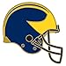 Michigan Wolverines Official NCAA 1 inch Lapel Pin by Wincraft 543127
