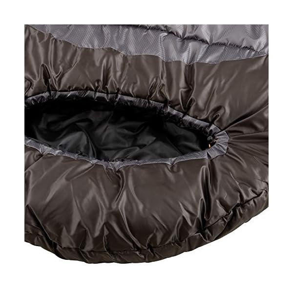 Coleman Big Basin 15 Big and Tall Adult Sleeping Bag Camping Galore