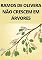 Livro Ramos de Oliveira Não Nascem em Árvores