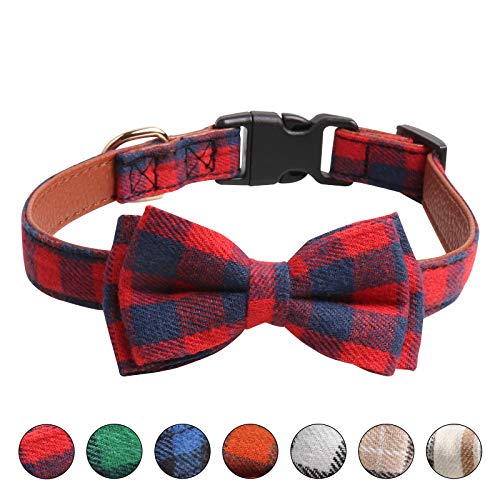 large dog collar with bow