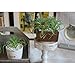 LianLe Artificial Succulent Plants Home Creative Decoration Succulent Flowers