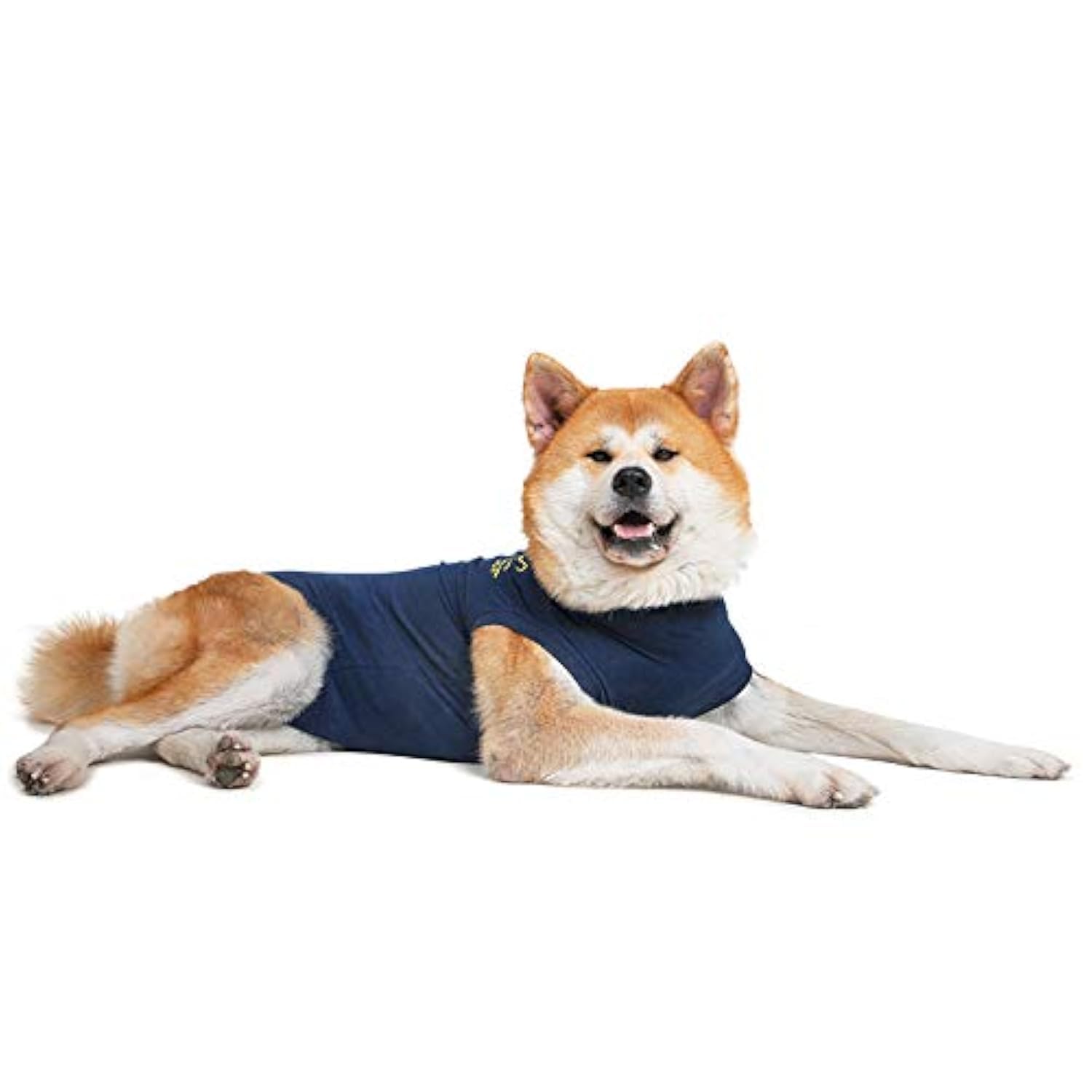 MPS Medical Pet Shirt Dog, Surgery Recovery Suit, Blue, XX-Large โ image 1