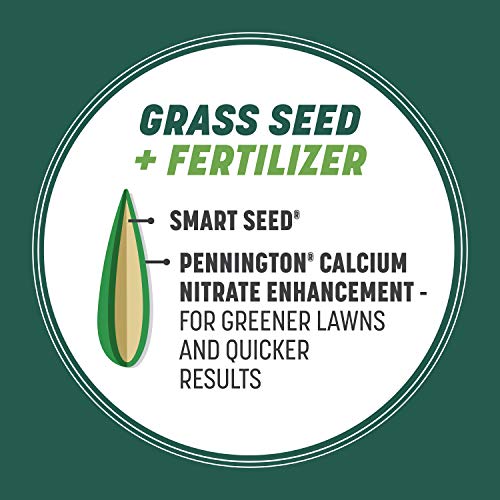 Pennington Smart Seed Sun and Shade Grass Mix 20 lb Pricepulse