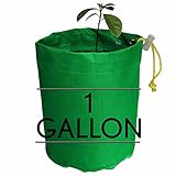 AvoSeedo Fabric Grow Bags - Grow your own Avocado Tree with The Avocado Fabric Planting Bag, 1 Gallon (Green)