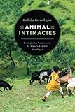 Radhika Govindrajan, "Animal Intimacies: Interspecies Relatedness in India’s Central Himalayas" (U Chicago Press, 2018)