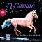 Livro O CAVALO