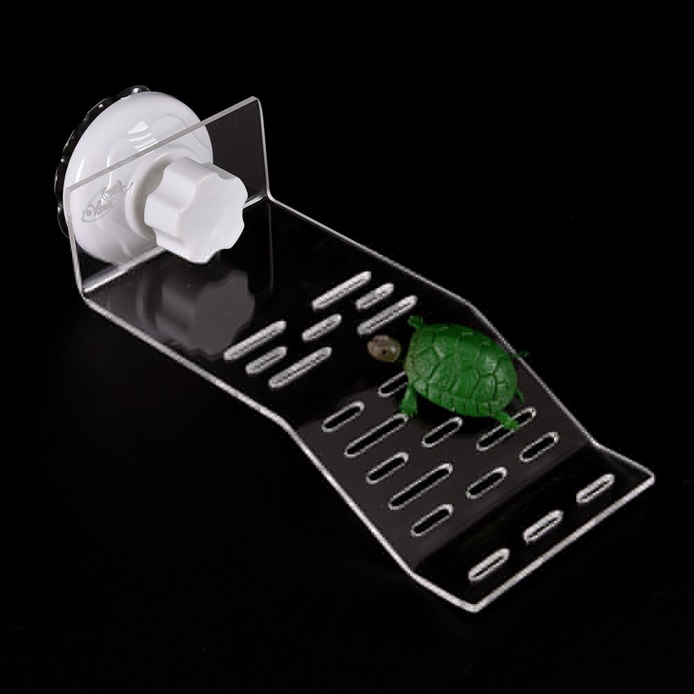 Curated visual reference: Cccymm 1 Pcs Acrylic Clear Aquarium Tank Reptile Turtle Basking Photo Inspiration