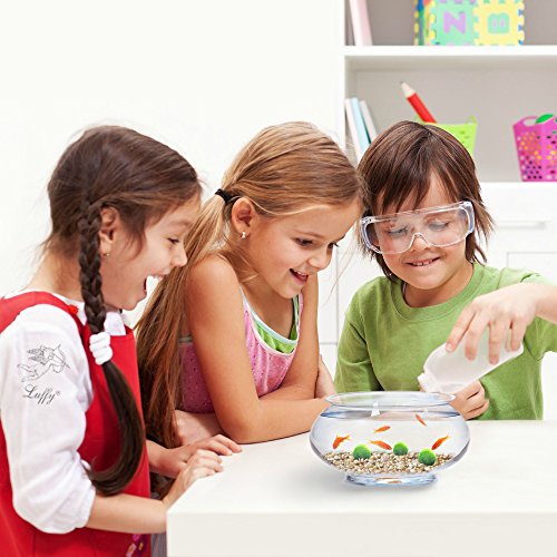 2 Luffy+First+Plant+Nano+Marimo