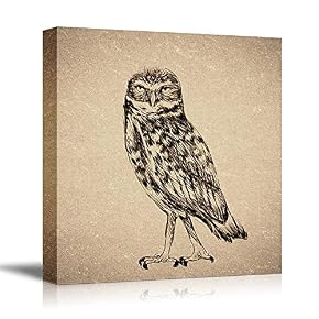 Birds Flowers Owls Butterflies Home Artwork for Living Room Bedroom