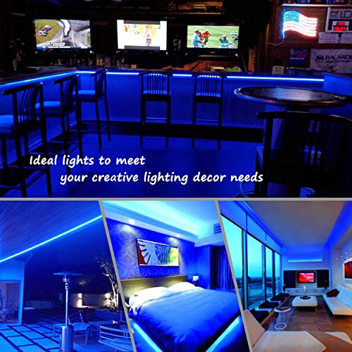 Areful Blue LED Lights, 16ft Rope Lights, Connectable and Flexible Blue Strip Lighting, High Brightness 3528 LEDs with Clear PVC Jacket, Waterproof Weatherproof for Indoor Outdoor Use