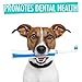 Natural Rapport Beef Trachea Dog Treats - The Only Beef Trachea Chews Dogs Need - All Natural Dog Treats for Small and Large Dogs (3 Chews)