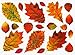 Thanksgiving and Fall Leaves Window Clings Decals Decorations Kit
