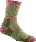 Darn Tough Summit Stripe Micro Crew Cushion Sock - Women's Willow Medium DISCONTINUED