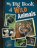 Big Book of Wild Animals