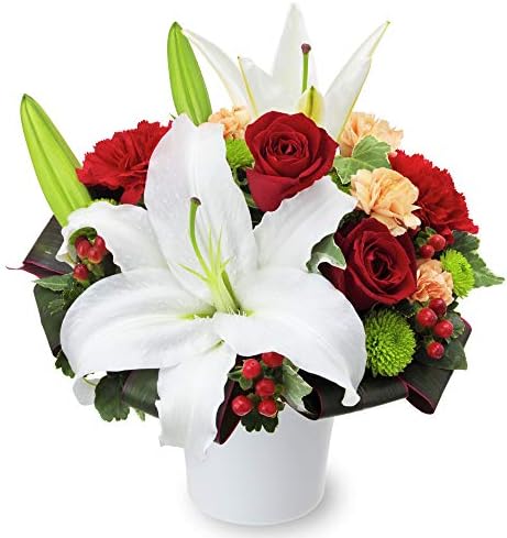 お祝い ユリと赤バラのエレガントアレンジメント Yc00 花キューピット 誕生日 退職 歓送迎 結婚 記念日 プレゼント