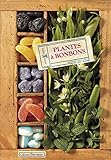 Plantes à bonbons by