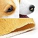 CreepyParty Corgi Dog Mask - Welsh Corgi Halloween Costume Latex