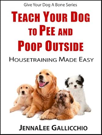 how to get your dog to pee outside
