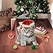 PUPTECK 9 PCS Christmas Cat Toys Set - Cat Collar, Soft Ball, Catnip Bag, Pet hat, Plush Toys, Crinkle Ball, Red Bow