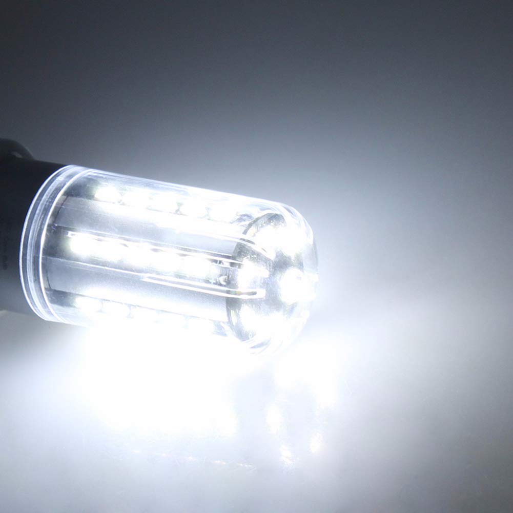 Best Ed Heating Light Bulbs