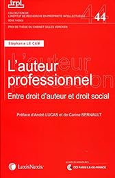 L' auteur professionnel