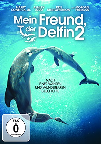 Mein Freund, der Delfin 2