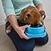 PetLike Dog Bowls Pet Food Bowls, No Spill Cat Food Bowl Water Food Feeder Pet Dishes for Cat Puppies Small Medium Dogs