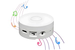 XLW 16 Min Voice Recorder,DIY Voice Recording Button for Stuffed Animals, Bear,Plush, Baby Doll,Pillow. Record Custom Messages for Xmas Halloween New Year Birthday Creative Presents-White