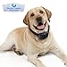 ONE Day Sale Advance No Bark Collar by Perfect Quality Solution-No Harm Shock Dog Control-7 Sensitivity Adjustable Control Levels for Training Small Medium Or Large Dogs-Free Bonus:Training EBook