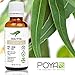 Eucalyptus Essential Oil (Globulus) 30 ml (1 fl. Oz.) - GCMS Tested, 100% Pure, Undiluted and Therapeutic Grade