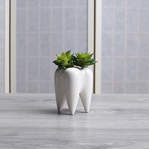 Youfui Home Decor Pot, Succulent Planter Flowerpot Decor for Home Office Desk (Larger Tooth) - Thumbnail 5