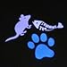 Atlantic Pet Cat Catch the LED Light Interactive Exercise Toy Cat Training Tool