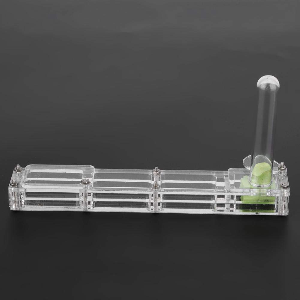 Ant Breeding Box, Acrylic Ant Breeding Nest Ant Farm House Ant Display Box with Water Tower, Moisturizing, with 1Pcs Dropper, 1Pcs Clamp, 1Pcs Glass Bottle(Transparent)