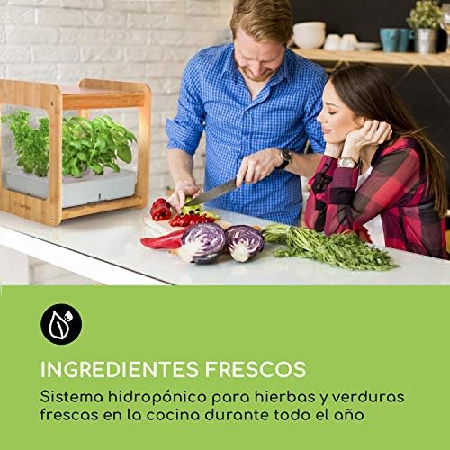 Blumfeldt Urban Bamboo Jardín hidropónico - Huerto, Sistema para ...