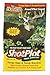 Flagline Evolved Harvest ShotPlot Annual Food Plot Seed - Palatable High-Protein Forage for Deer - Forage Rape & Turnip Brassicas