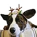 BWOGUE Pet Antlers Headband Holiday Christmas Halloween Costume for Dogs Cats Hair Accessories