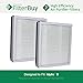 FilterBuy Replacement for Idylis Air Purifier Filter B (Pack of 2). Compatible with Idylis IAF-H-100B. Designed to fit Idylis IAP-10-050 & IAP-10-125.