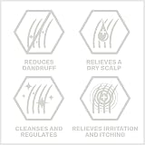 Sebamed Anti-Dandruff Shampoo 200ml - Pack of 2 for Oily Scalp view 3