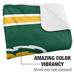 Northern Michigan University Primary Logo Stripes