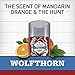 Old Spice Wolfthorn, 2.6 oz