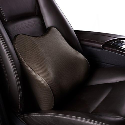 Memory Foam Lumbar Support-Doggie Professional Ergonomic Design 3D Mesh Cover Proper Firmness Car Interior Accessories