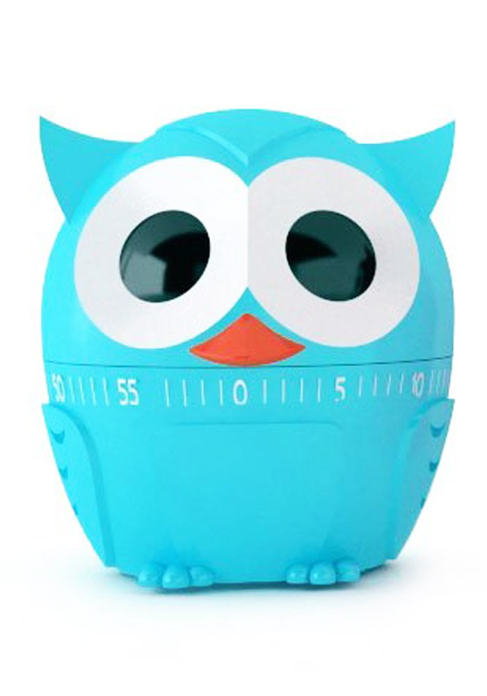 Kikkerland Owl Kitchen Timer (Assorted Colours)