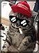 Unekorn Ultra Comfort Adjustable Make Ameowica Great Again MAGA Trump Slogan Cat Hat Pet Costume for Halloween Parties and Instagram Pictures Make America Great Again Cat Hat
