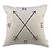 HIPPIH 18x18 Pillow Cover Set of 2, Velvet Throw Pillow Covers, Decorative Christmas Pillowcase with Hidden Zipper for Couch, Sofa, Bed, Cushion
